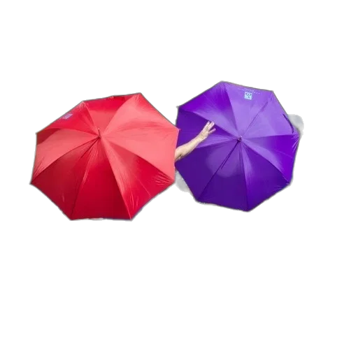 umbrella, flower, crown, hat, 3d render, photorealistic, concept art, pixel art transparent PNG cut-out