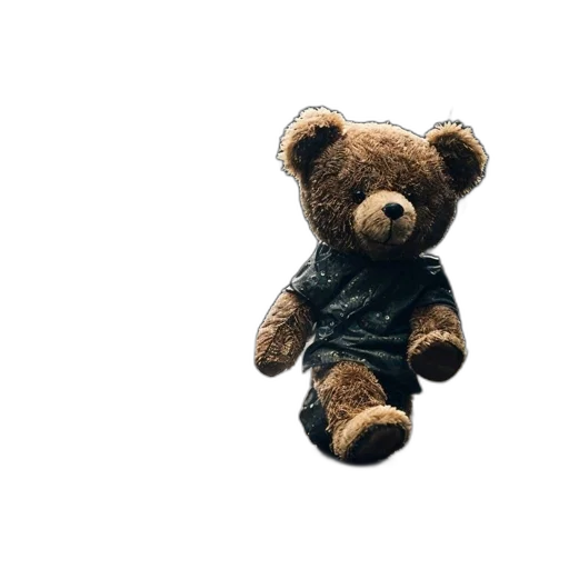 jacket, animal, creature, staff, 3d render, photorealistic, concept art, teddy transparent PNG cut-out