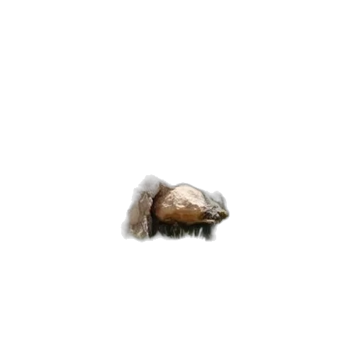 hat, hair, animal, creature, photorealistic, 3d render, concept art, pixel art transparent PNG cut-out