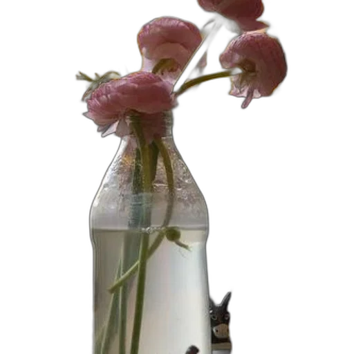 bottle, flower, weapon, dress, 3d render, photorealistic, concept art, clear transparent PNG cut-out