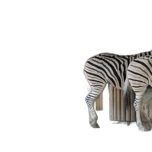 animal, furniture, creature, bottle, 3d render, concept art, photorealistic, fantasy art transparent PNG cut-out
