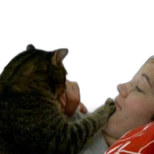 staff, animal, creature, photorealistic, fire, cat, gently, nuzzles transparent PNG cut-out
