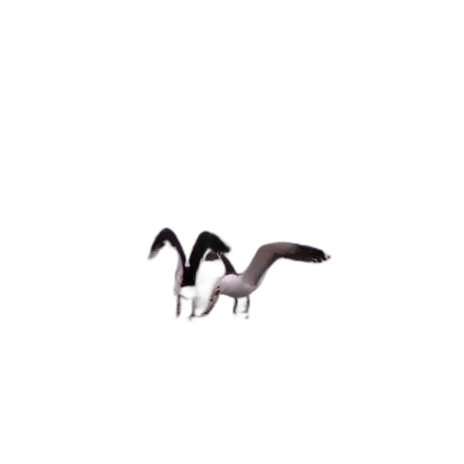 animal, dragon, creature, staff transparent PNG cut-out