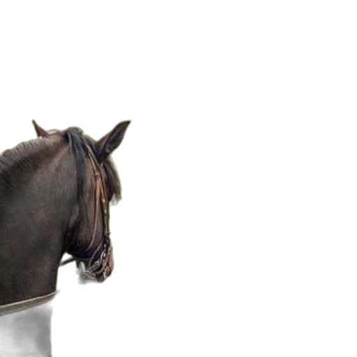 animal, hat, crown, staff, photorealistic, 3d render, concept art, horseback transparent PNG cut-out