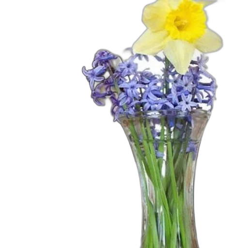 flower, crown, staff, bottle, photorealistic, 3d render, blue, pastel transparent PNG cut-out