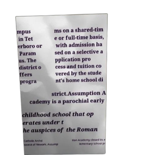 staff, weapon, assumption, academy, parochial, early, childhood, school transparent PNG cut-out