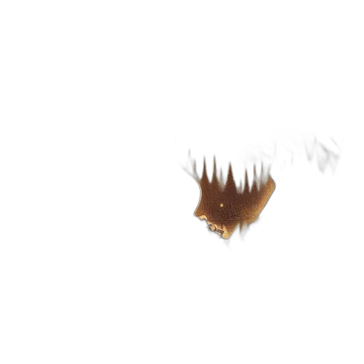 hair, creature, dragon, crown transparent PNG cut-out