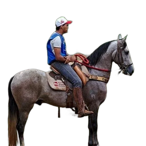 animal, staff, photorealistic, concept art transparent PNG cut-out