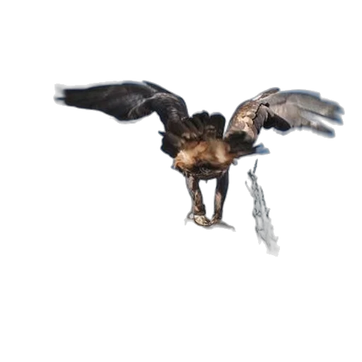 animal, staff, jewelry, weapon, 3d render, photorealistic, concept art, man transparent PNG cut-out