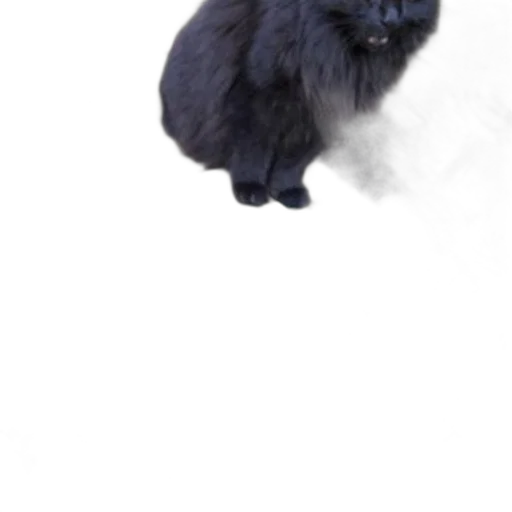 animal, creature, hair, dragon, photorealistic, concept art, 3d render, fog transparent PNG cut-out