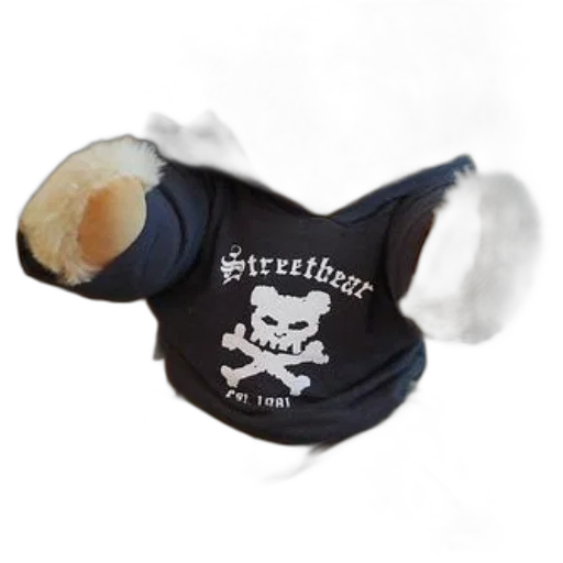 jacket, hat, teddy, bear, wearing, hoodie, word, streetbear transparent PNG cut-out