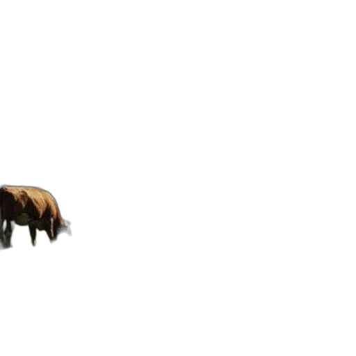 animal, creature, dragon, hair, pixel art, concept art, 3d render, photorealistic transparent PNG cut-out