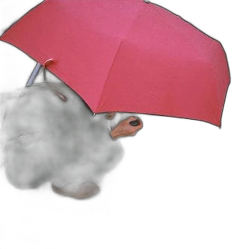 umbrella, hat, mask, animal, photorealistic, 3d render, concept art, rain transparent PNG cut-out