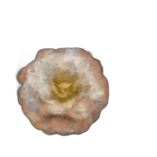 flower, crown, jewelry, food, photorealistic, 3d render, oil painting, watercolor transparent PNG cut-out