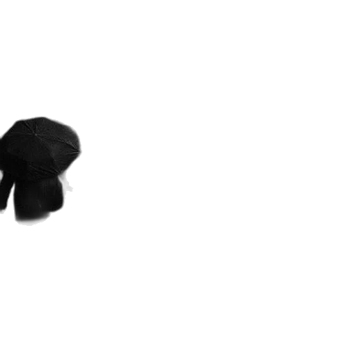 hat, jacket, hair, umbrella, 3d render, photorealistic, pixel art, concept art transparent PNG cut-out