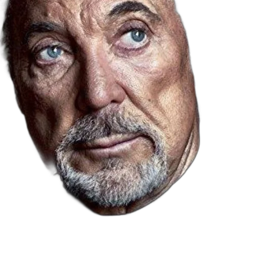 face, mask, hat, jacket, photorealistic, 3d render, cartoon, concept art transparent PNG cut-out