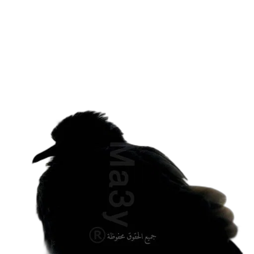 animal, jewelry, mask, weapon, photorealistic, 3d render, pencil sketch, cartoon transparent PNG cut-out