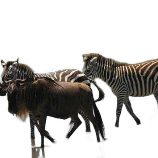 animal, staff, furniture, creature, 3d render, concept art, photorealistic, forest transparent PNG cut-out