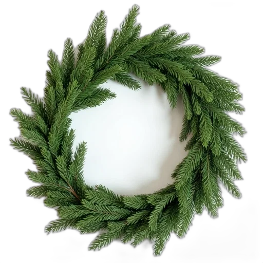 crown, hat, hair, jewelry, 3d render, green, christmas, wreath transparent PNG cut-out