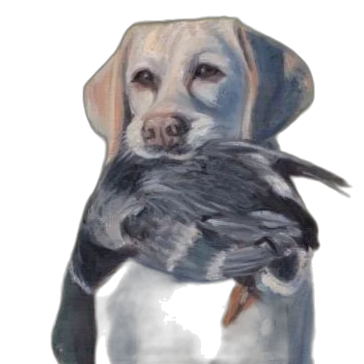 animal, creature, jacket, oil painting, watercolor, photorealistic, pencil sketch, fog transparent PNG cut-out