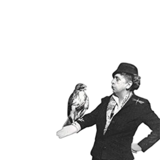 animal, hat, staff, jacket, concept art, cover, hawk, mercy transparent PNG cut-out