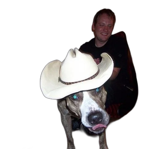 hat, animal, staff, creature transparent PNG cut-out