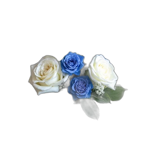 jewelry, flower, crown, 3d render, photorealistic, blue, pastel, monochrome transparent PNG cut-out