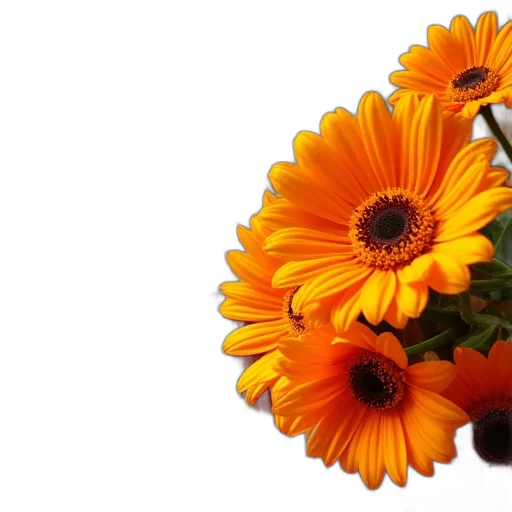 flower, crown, jewelry, photorealistic transparent PNG cut-out
