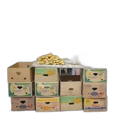 food, earth tones, fruit, vendor transparent PNG cut-out