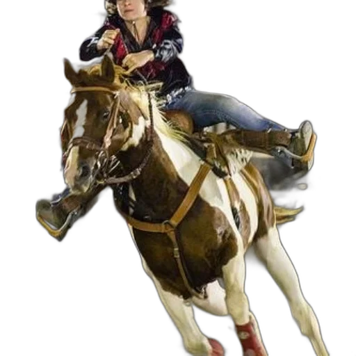 photorealistic, concept art, 3d render, person, riding, brown, white, horse transparent PNG cut-out