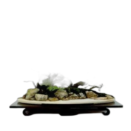 furniture, food, 3d render, photorealistic, earth tones, cover, bonsai, landscapes transparent PNG cut-out