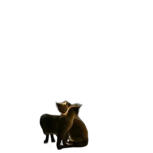 animal, creature, staff, furniture, 3d render, concept art, photorealistic, pixel art transparent PNG cut-out