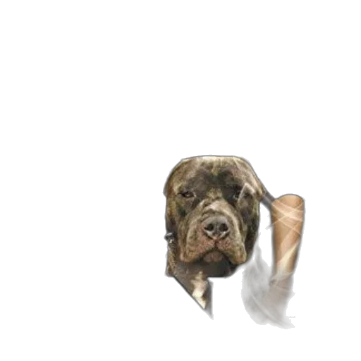 animal, staff, creature, face, photorealistic, 3d render, concept art, pixel art transparent PNG cut-out