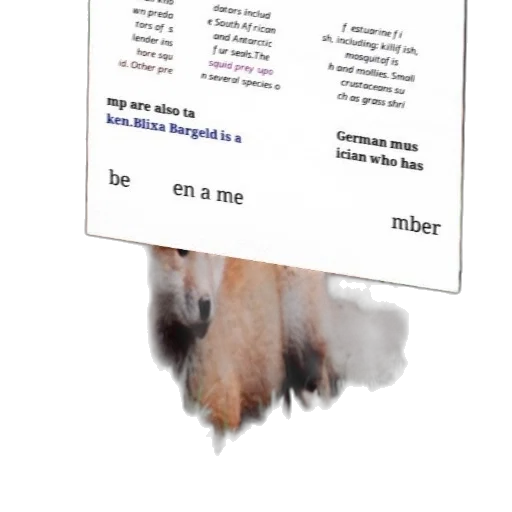 mask, hair, staff, jacket, 3d render, fog, fire, text-based transparent PNG cut-out