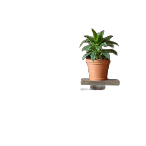 furniture, tree, robot, flower transparent PNG cut-out