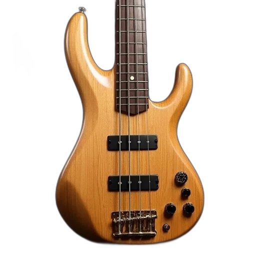 warwick, string, electric, bass transparent PNG cut-out