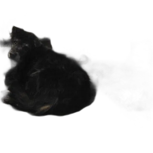 animal, creature, hair, dragon, photorealistic, 3d render, concept art, oil painting transparent PNG cut-out