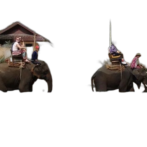 umbrella, animal, hat, car, concept art, 3d render, photorealistic, fantasy art transparent PNG cut-out
