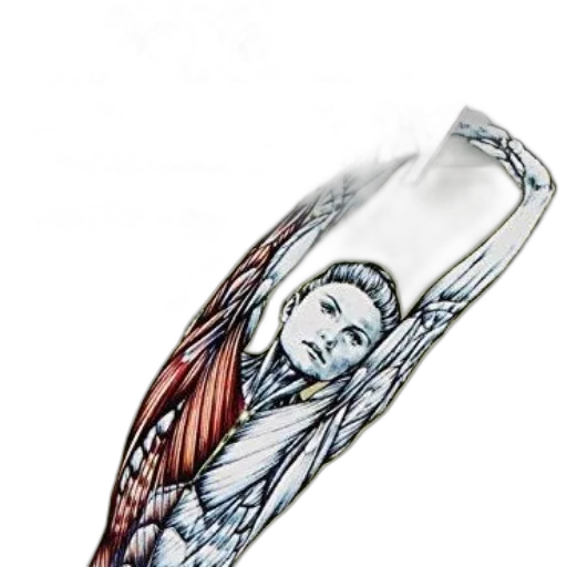 bottle, jewelry, sword, photorealistic, stretching, anatomy, book, cover transparent PNG cut-out