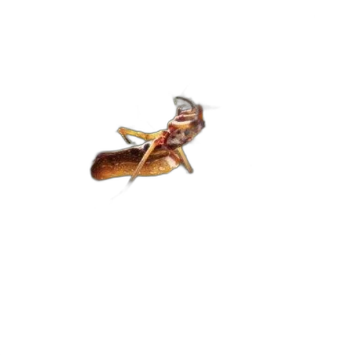 animal, creature, dragon, weapon, concept art, 3d render, pixel art, photorealistic transparent PNG cut-out