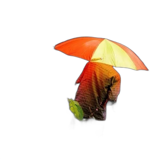 umbrella, hat, animal, staff transparent PNG cut-out