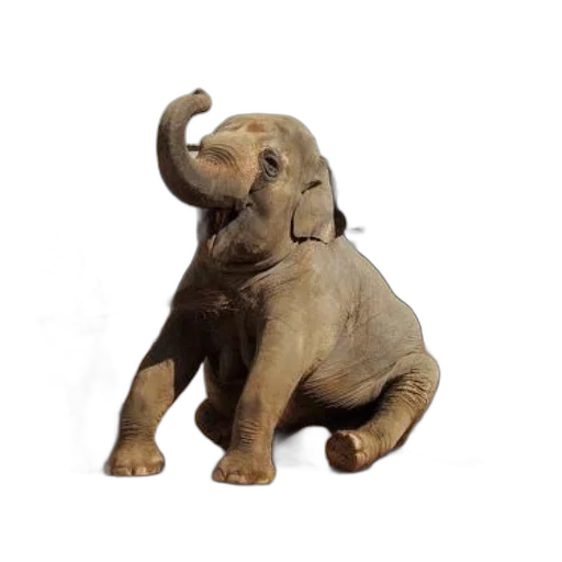 animal, creature, staff, 3d render, photorealistic, concept art, man, traditional transparent PNG cut-out