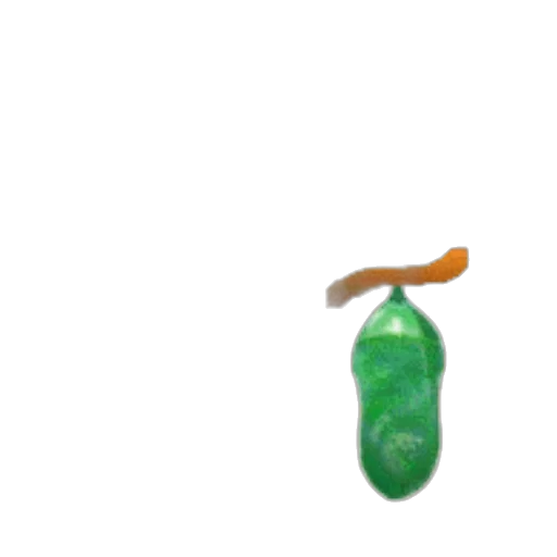 food, bottle, weapon, jewelry, 3d render, pixel art, concept art, photorealistic transparent PNG cut-out