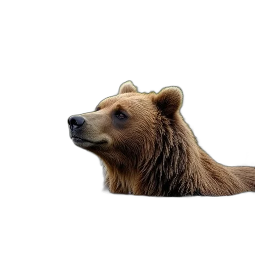 animal, creature, staff, hair, photorealistic, 3d render, concept art, brown transparent PNG cut-out