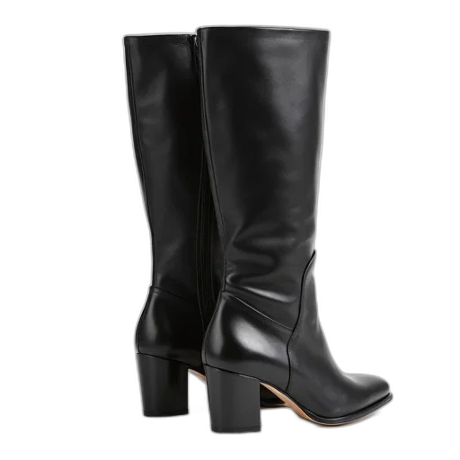 shoes, pair, black, high-heeled, boots, pointed, toe, low transparent PNG cut-out