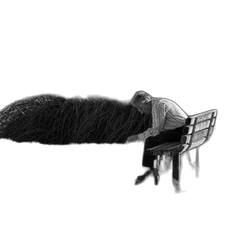 hair, furniture, animal, creature, photorealistic, concept art, pencil sketch, 3d render transparent PNG cut-out