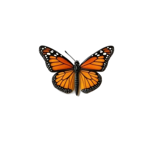animal, creature, jewelry, crown transparent PNG cut-out