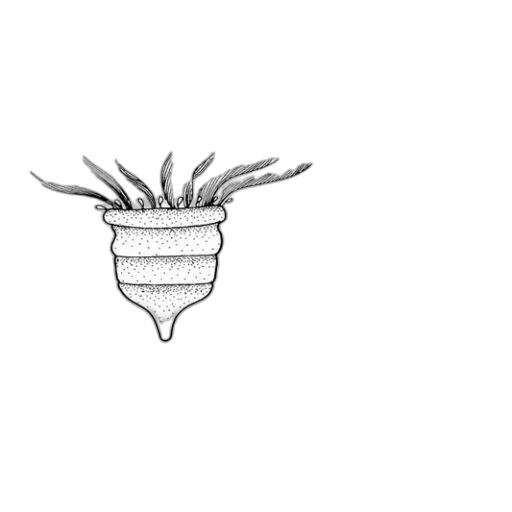 crown, flower, hair, jewelry, 3d render, concept art, pixel art, photorealistic transparent PNG cut-out