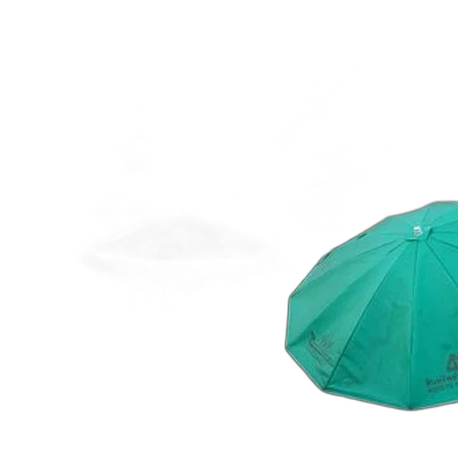 umbrella, hat, jacket, staff, 3d render, photorealistic, concept art, rain transparent PNG cut-out