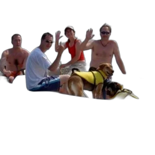 staff, animal, bottle, beach, underwater, fire, group, people transparent PNG cut-out